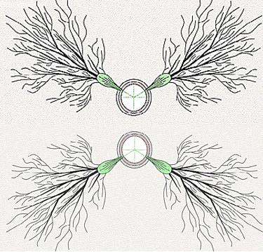 Hydraulic Self Positioning Jetting Tools for Automatic Rotation