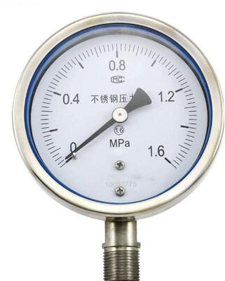 Stainless Steel Pressure Gauge with 1600 bar Range and IP65 Protection for Industrial Use